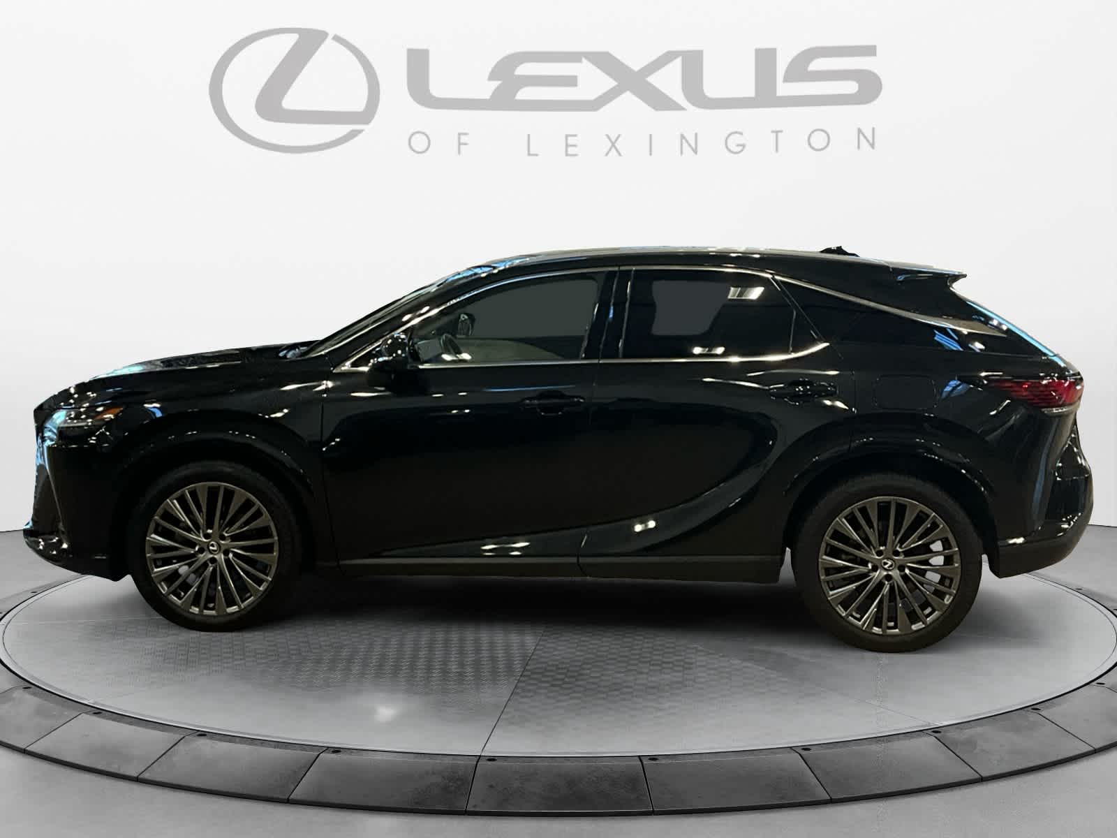 2025 Lexus RX Luxury