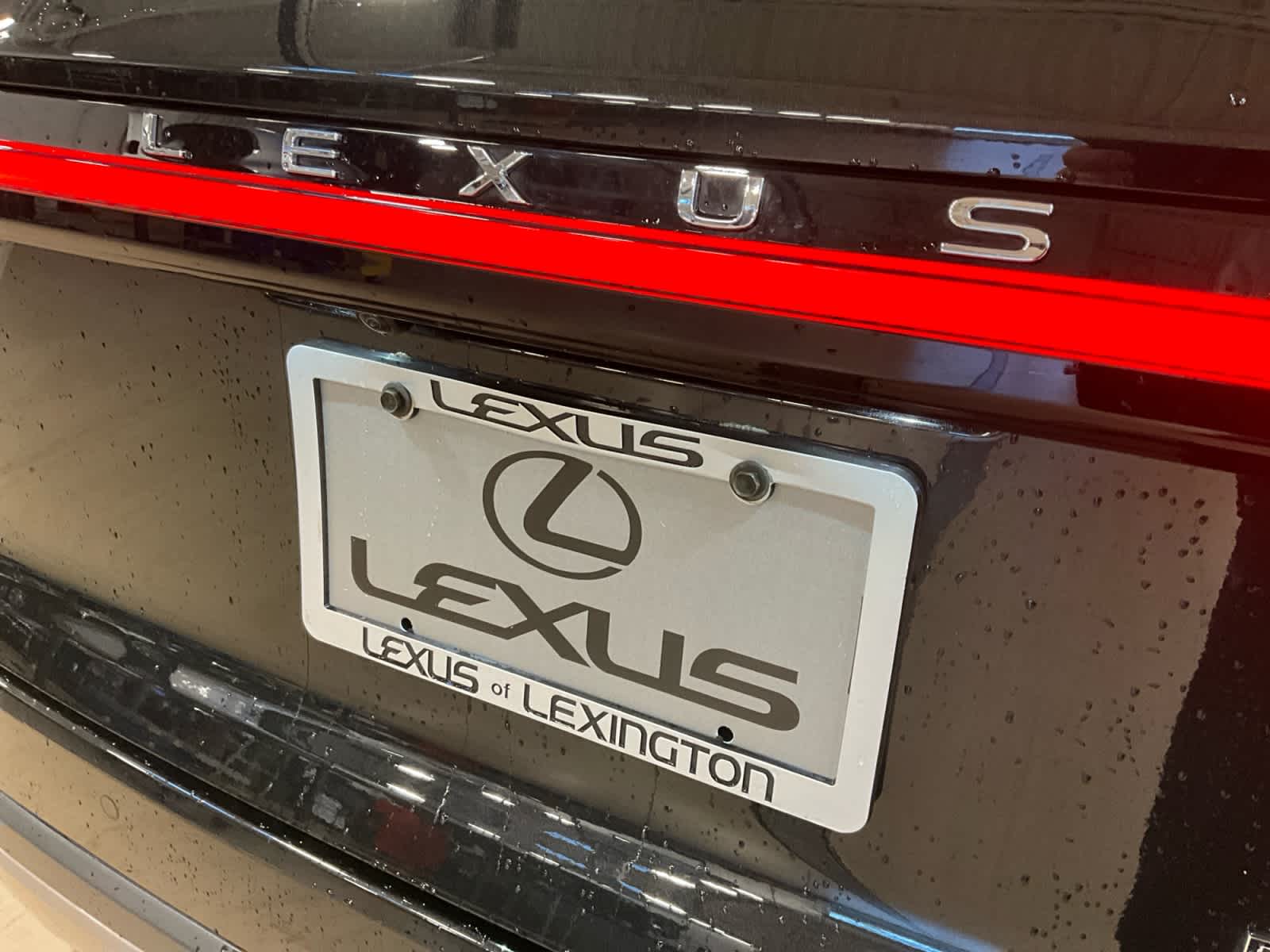 2025 Lexus RX Luxury