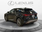 2025 Lexus RX Luxury