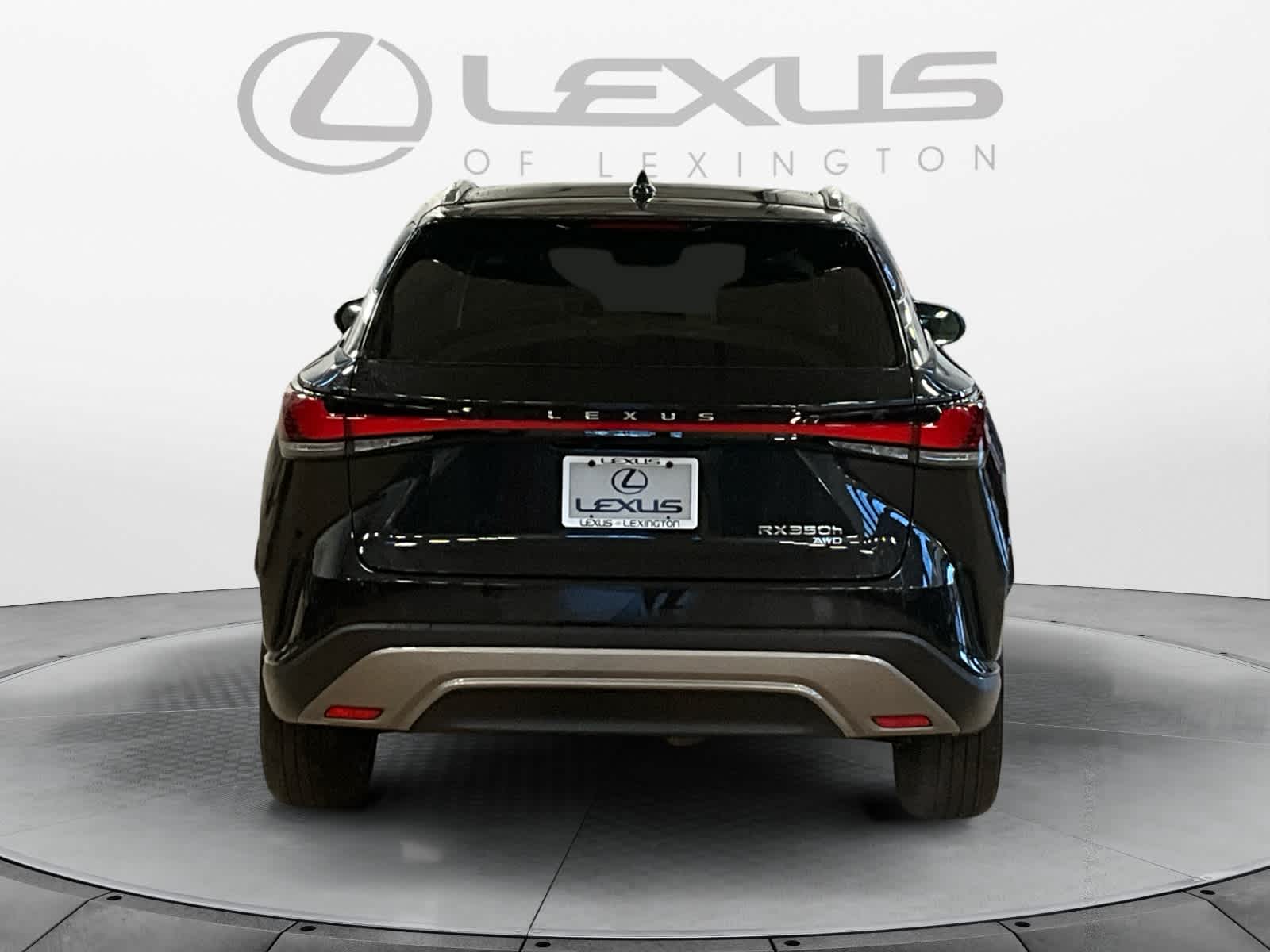 2025 Lexus RX Luxury