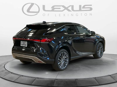 2025 Lexus RX Luxury