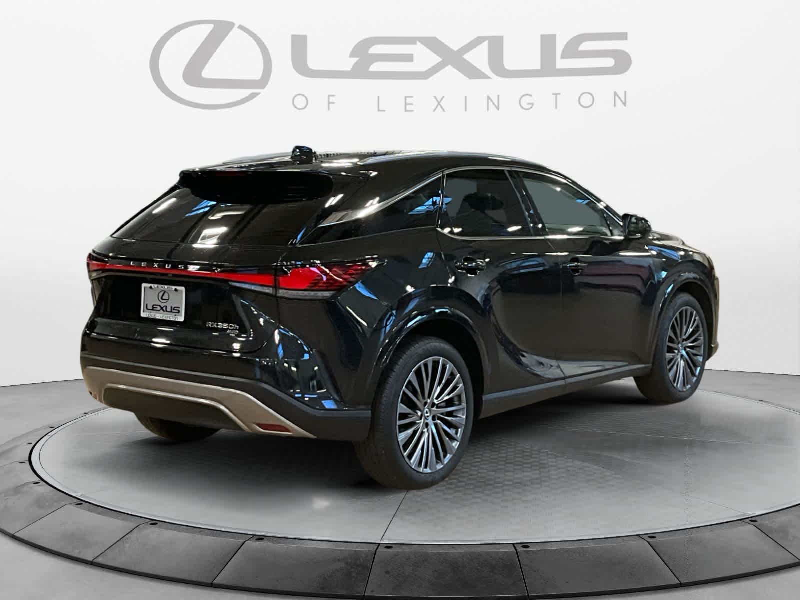 2025 Lexus RX Luxury