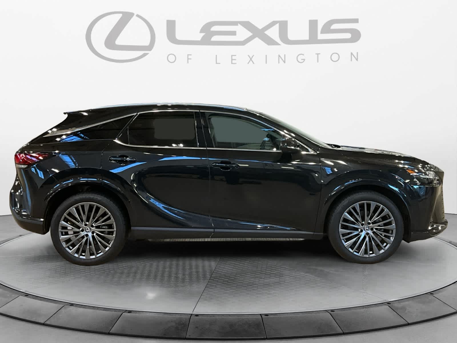 2025 Lexus RX Luxury