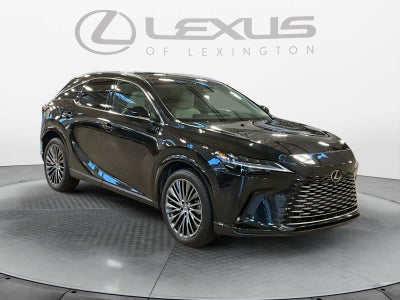 2025 Lexus RX Luxury