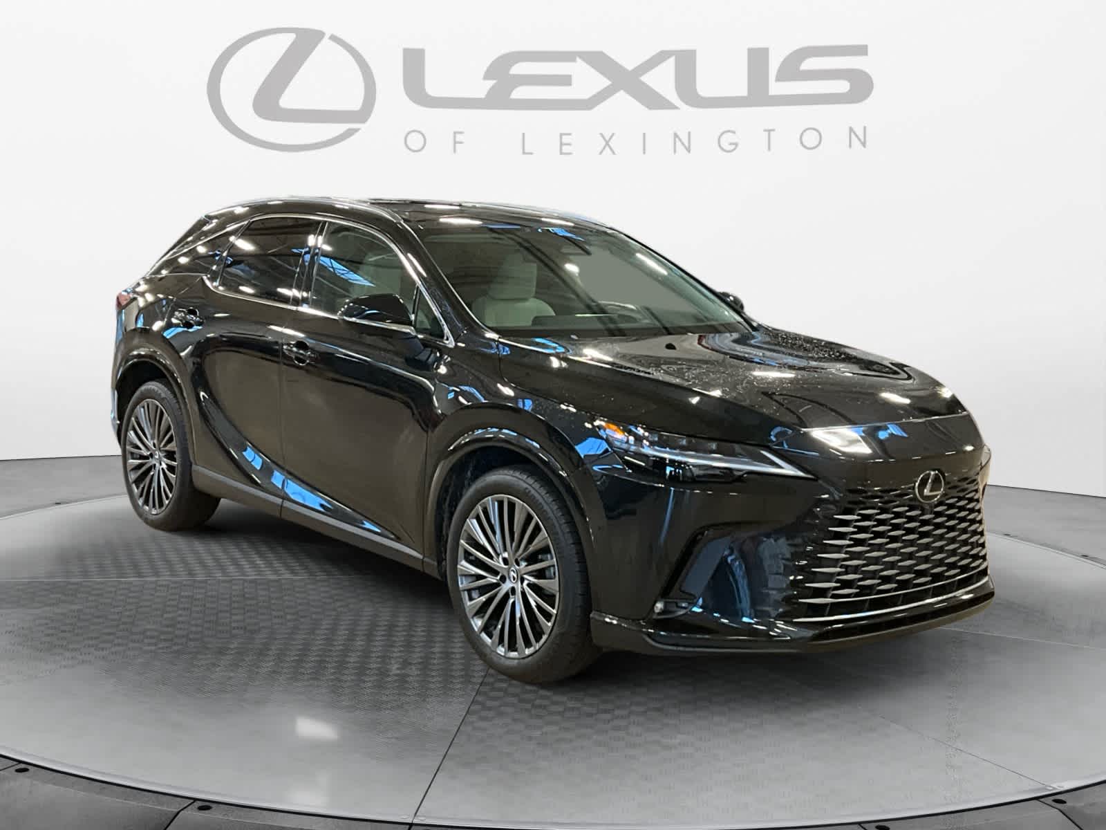 2025 Lexus RX Luxury