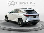 2023 Lexus RX 350h Luxury