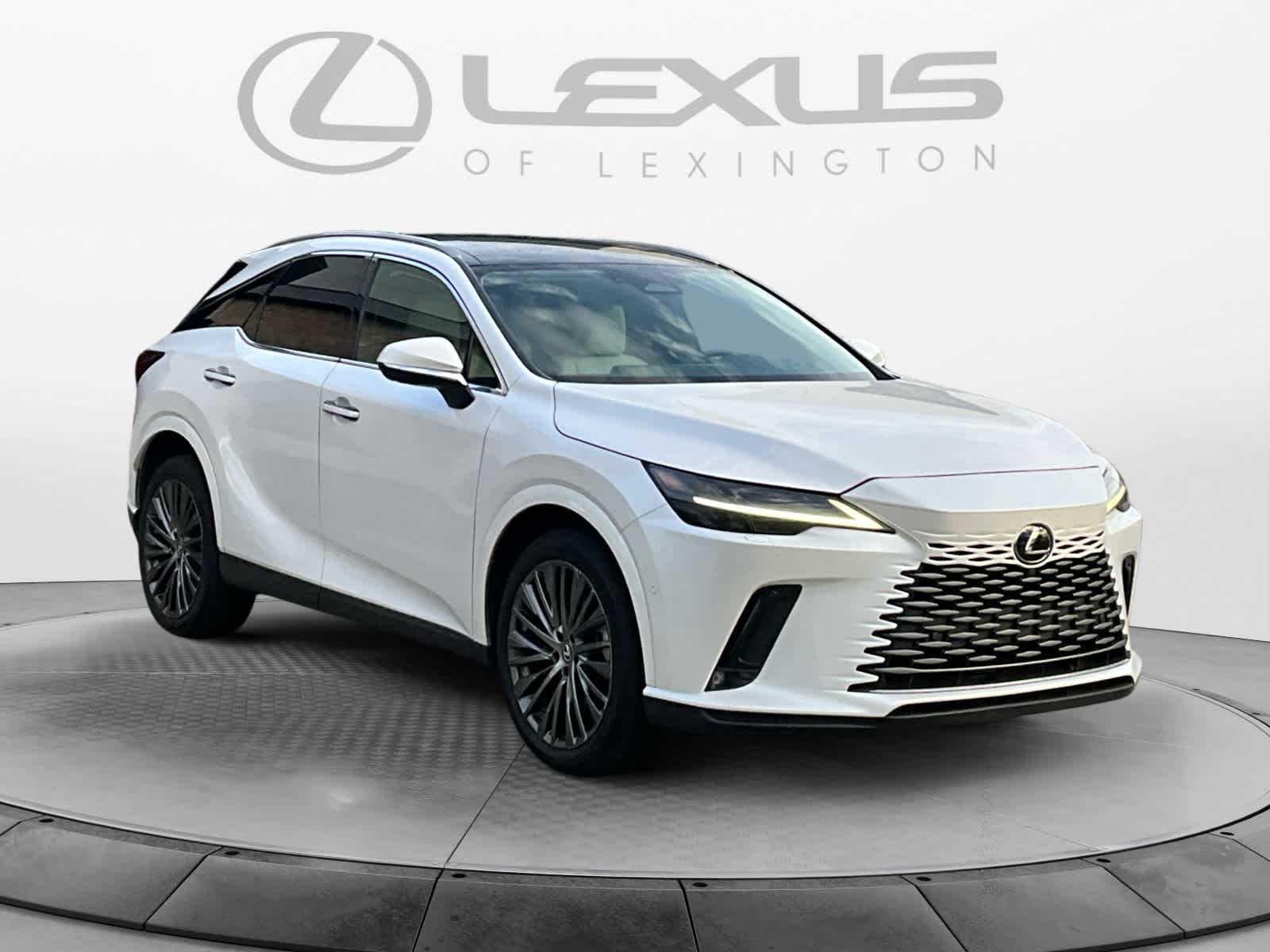 2023 Lexus RX 350h Luxury