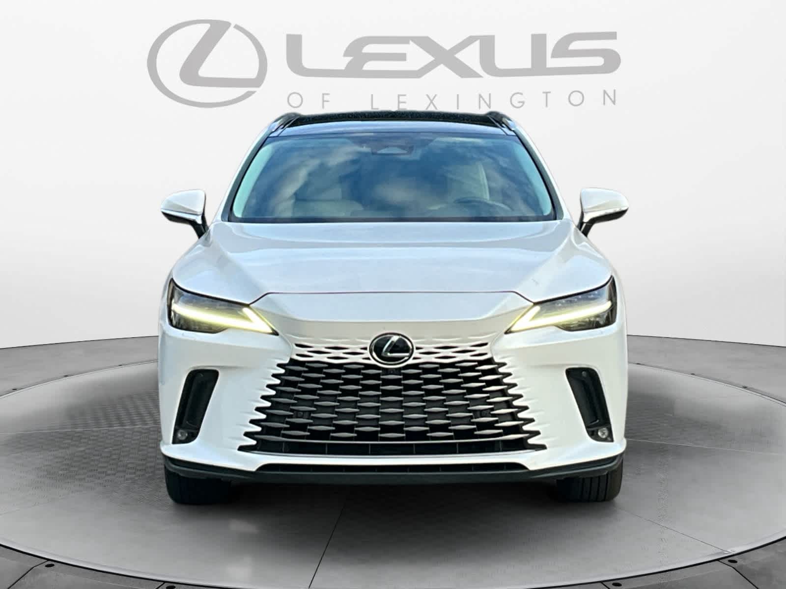 2023 Lexus RX 350h Luxury