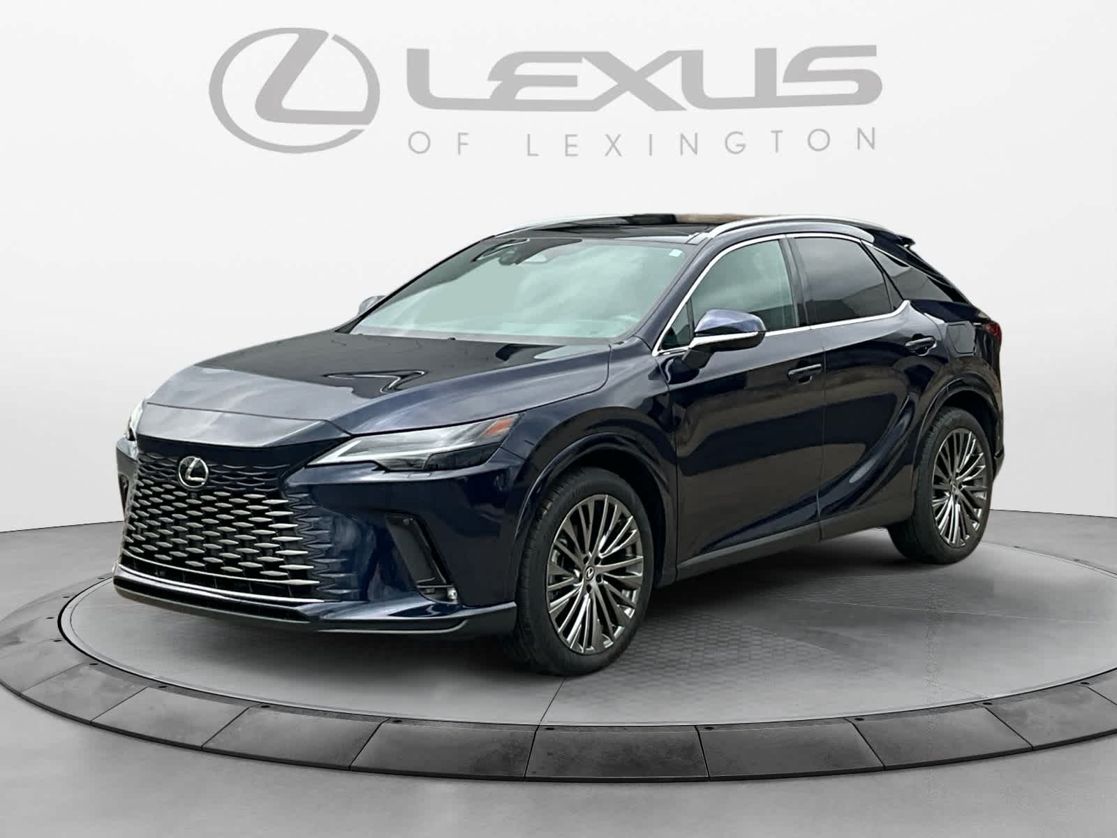 2024 Lexus RX Luxury