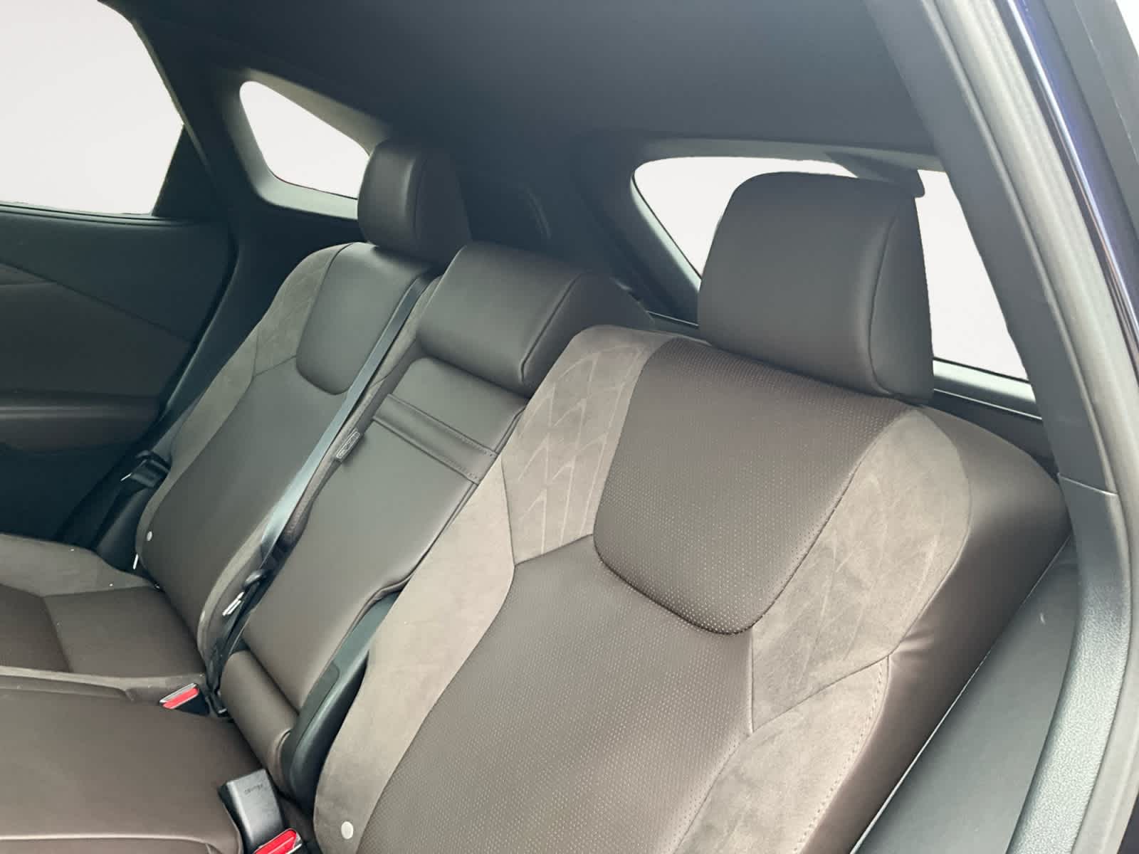 2024 Lexus RX Luxury