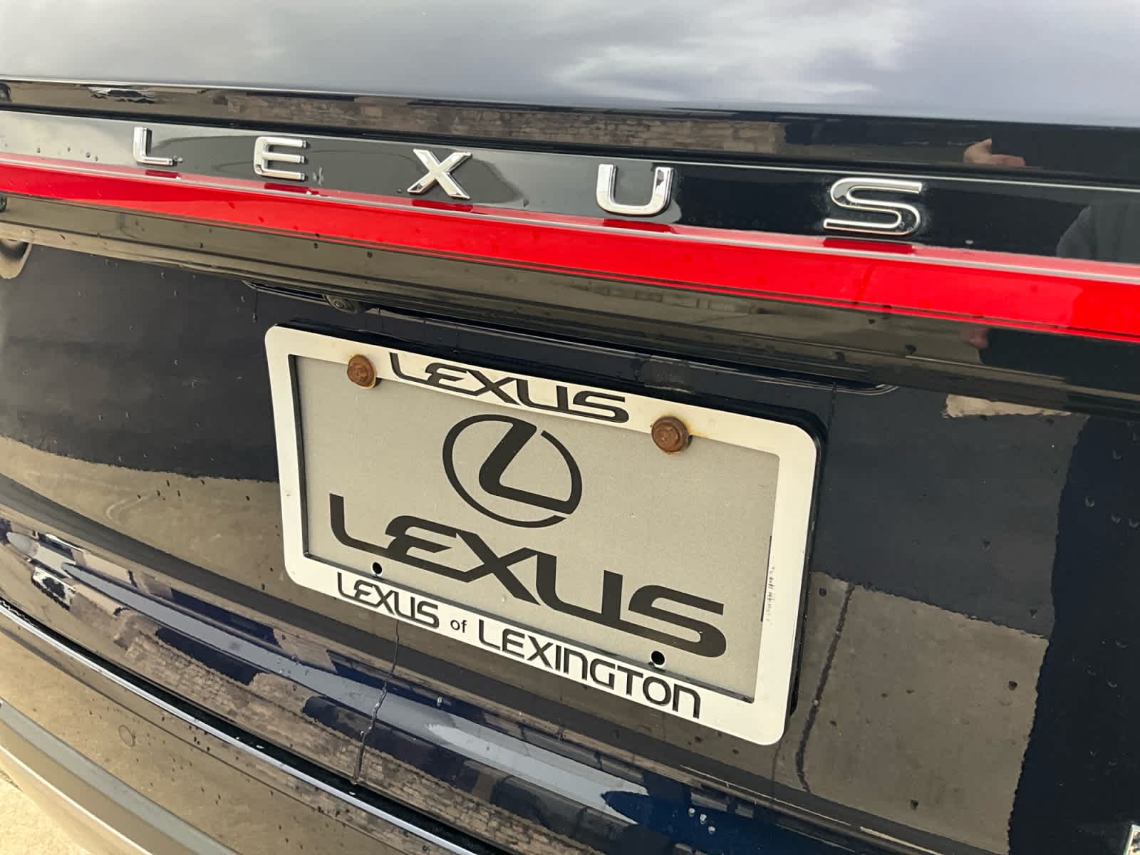 2024 Lexus RX Luxury