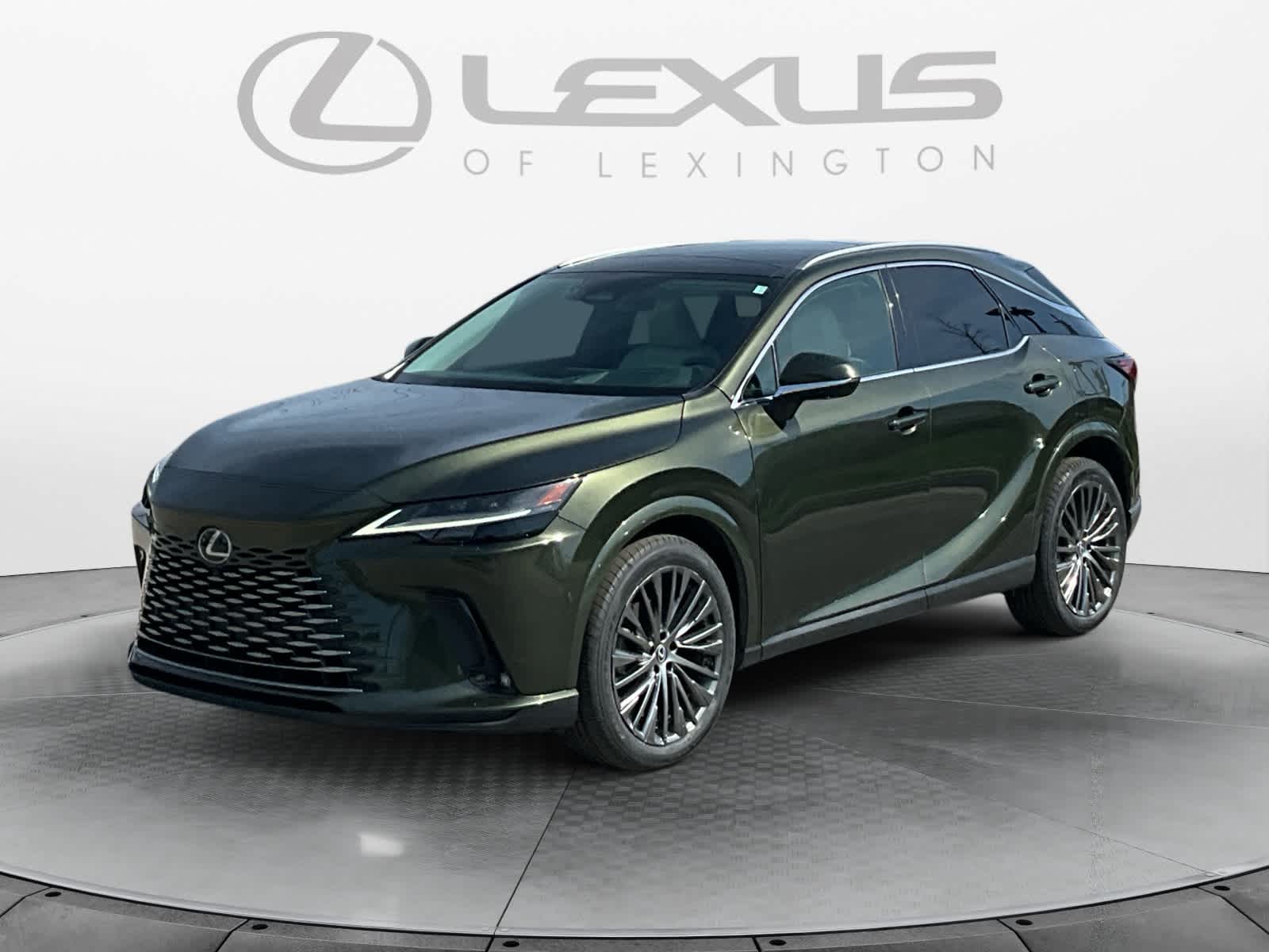 2024 Lexus RX Luxury