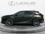 2024 Lexus RX Luxury