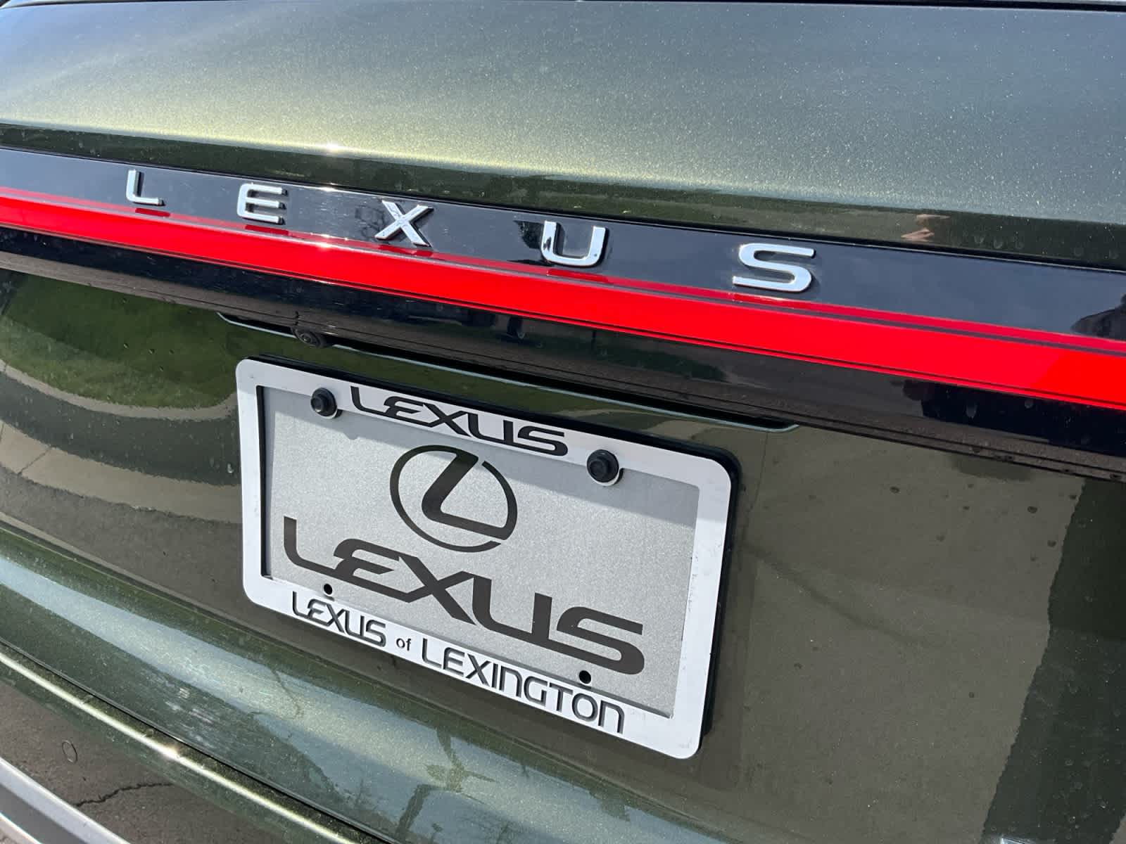 2024 Lexus RX Luxury