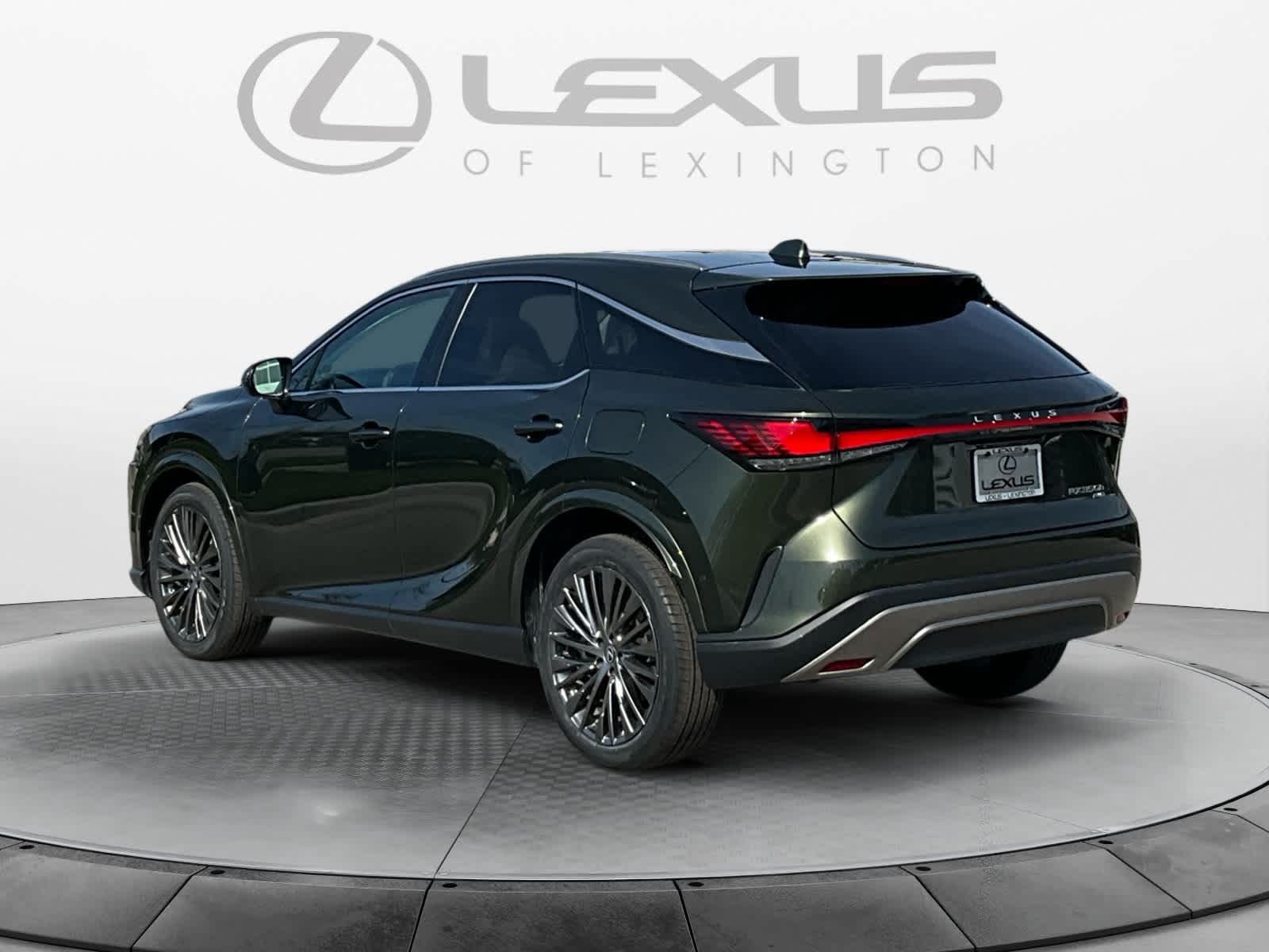 2024 Lexus RX Luxury