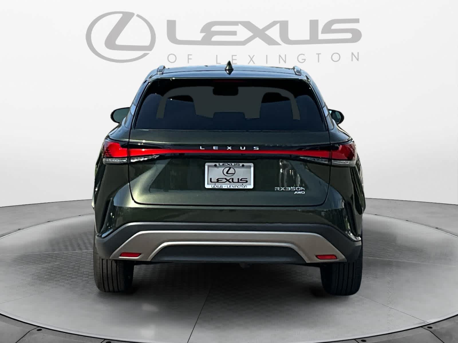 2024 Lexus RX Luxury