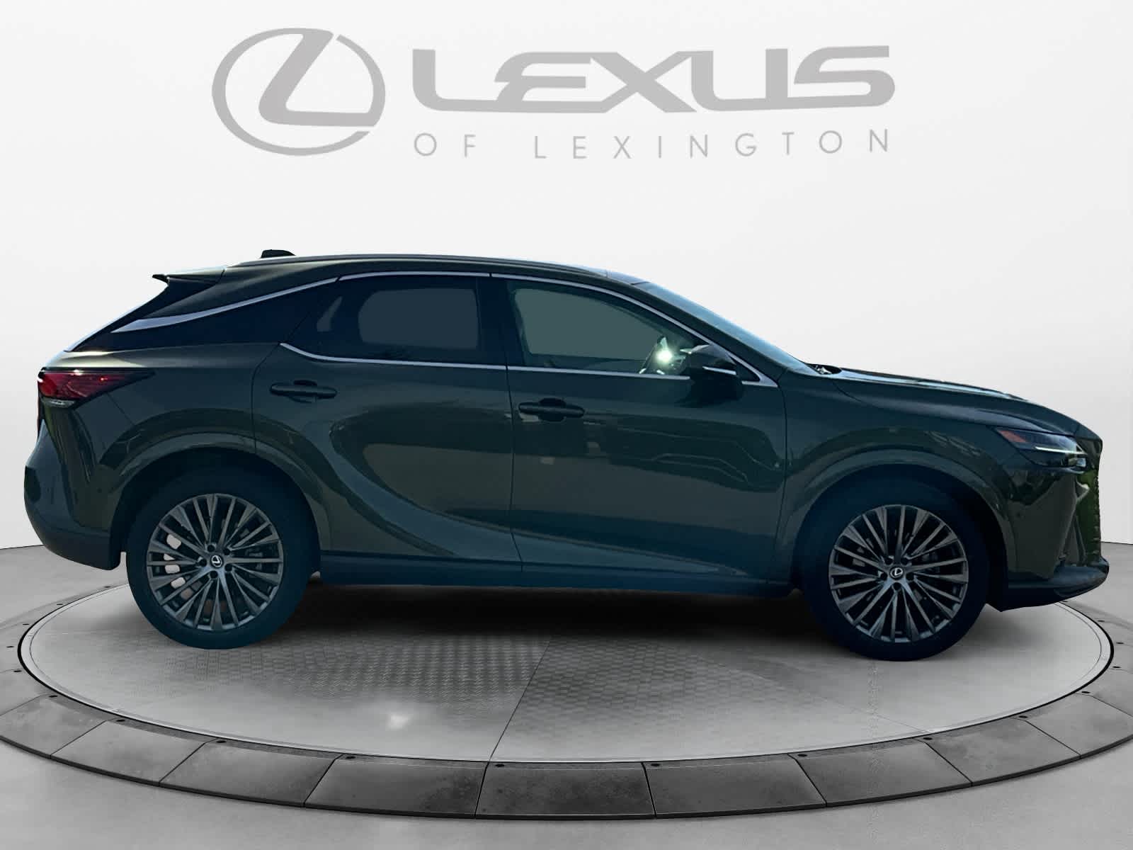 2024 Lexus RX Luxury