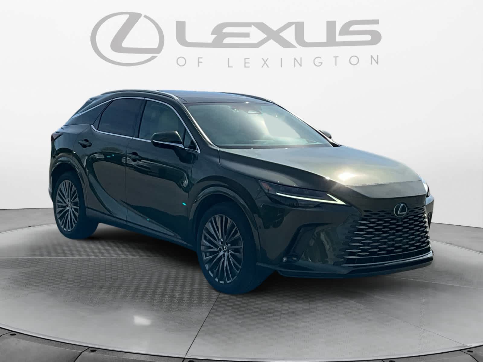 2024 Lexus RX Luxury
