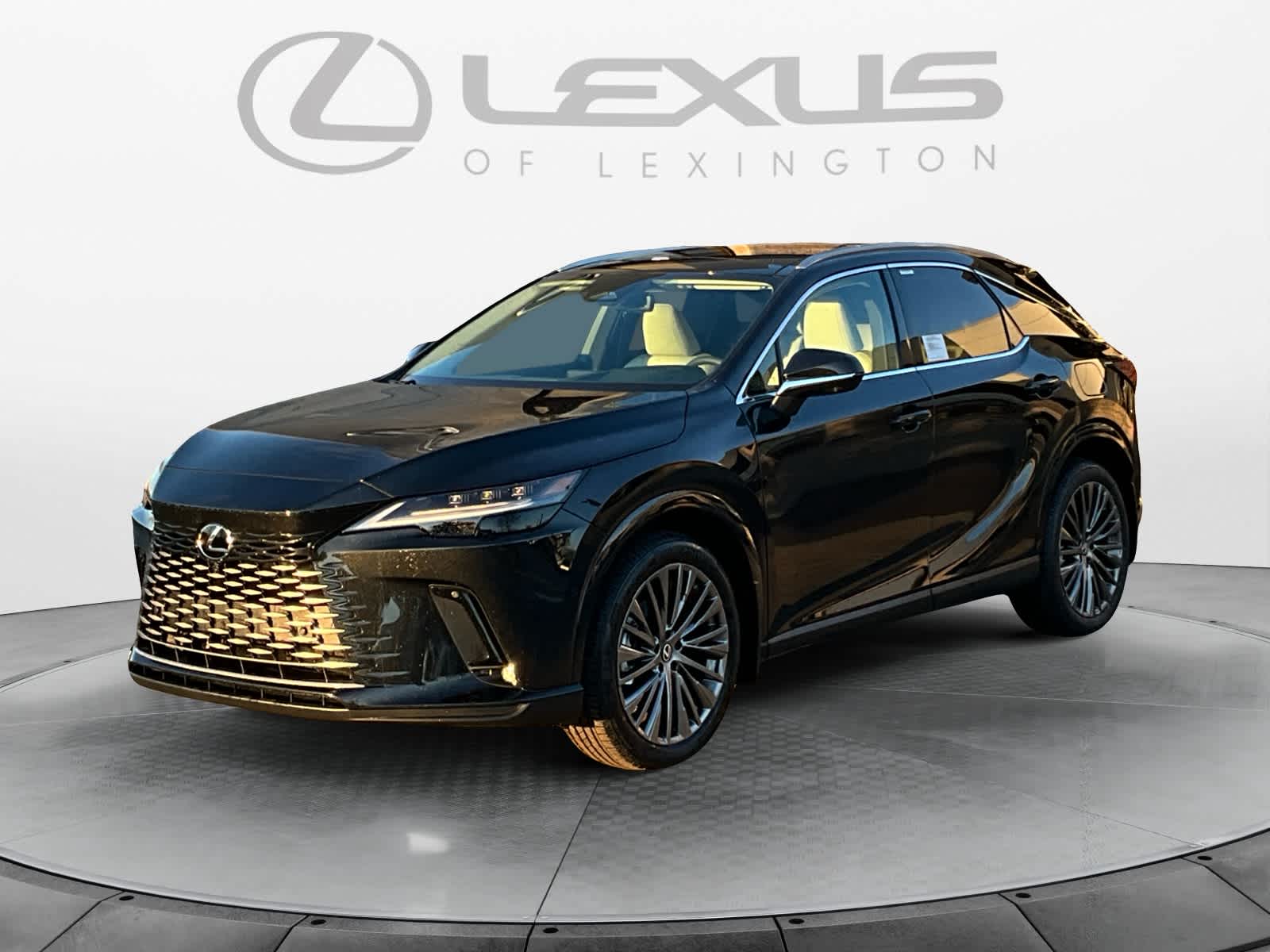 2026 Lexus RX Luxury