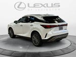 2026 Lexus RX 350h Luxury