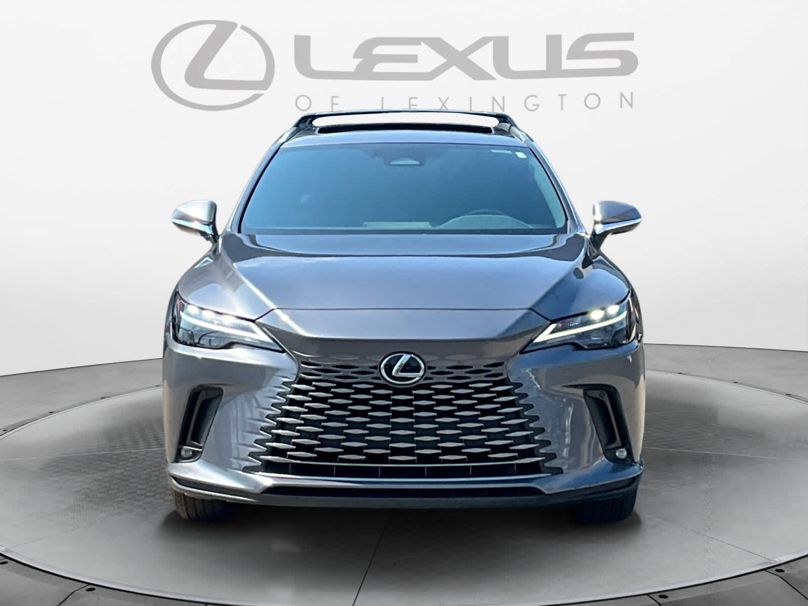 2023 Lexus RX 350h Premium