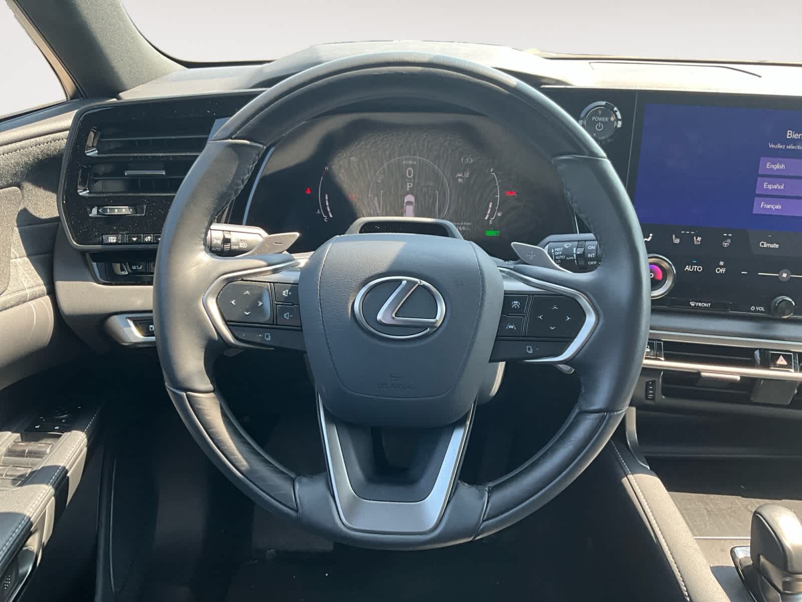 2024 Lexus RX Luxury