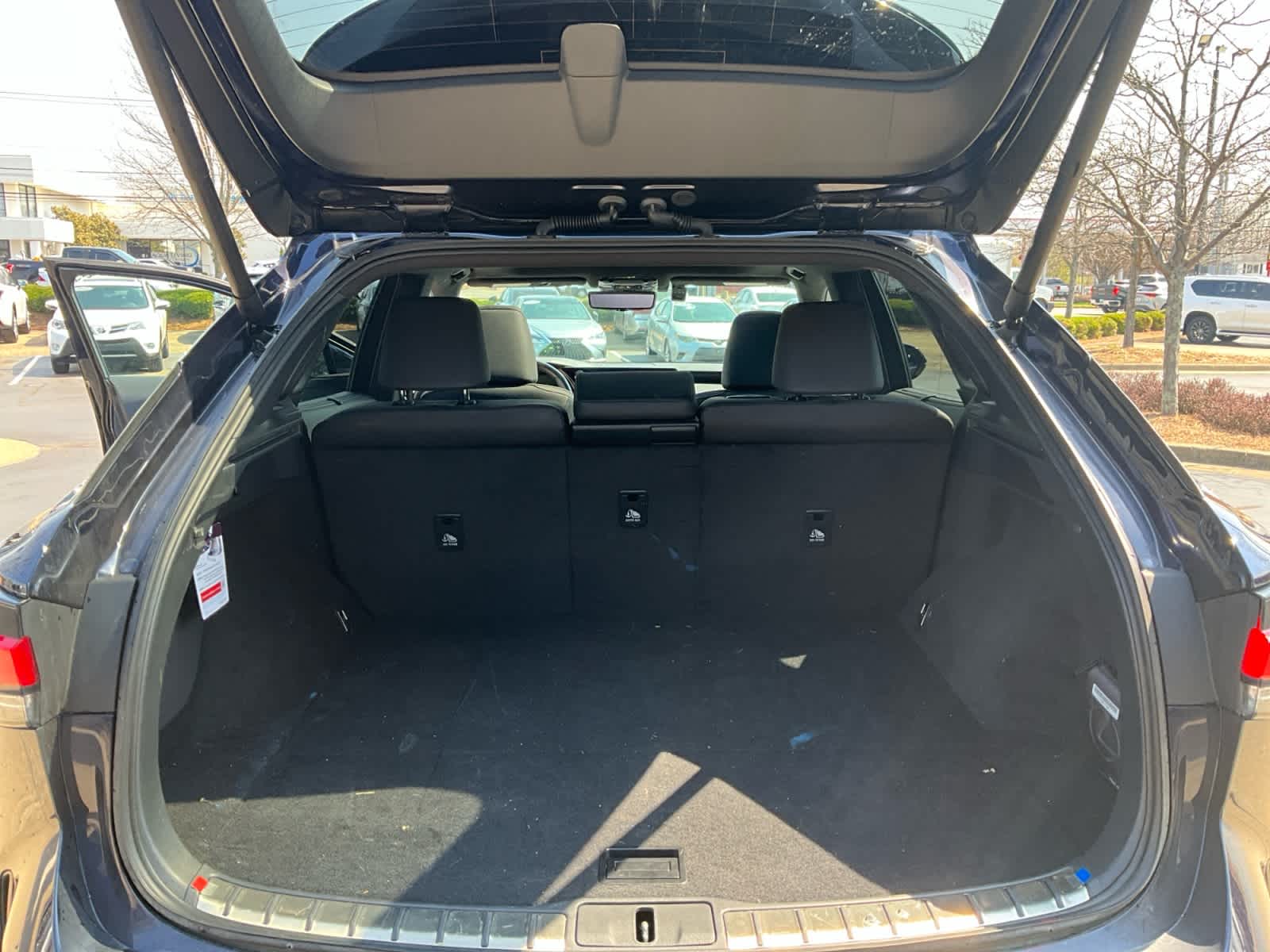 2024 Lexus RX Luxury