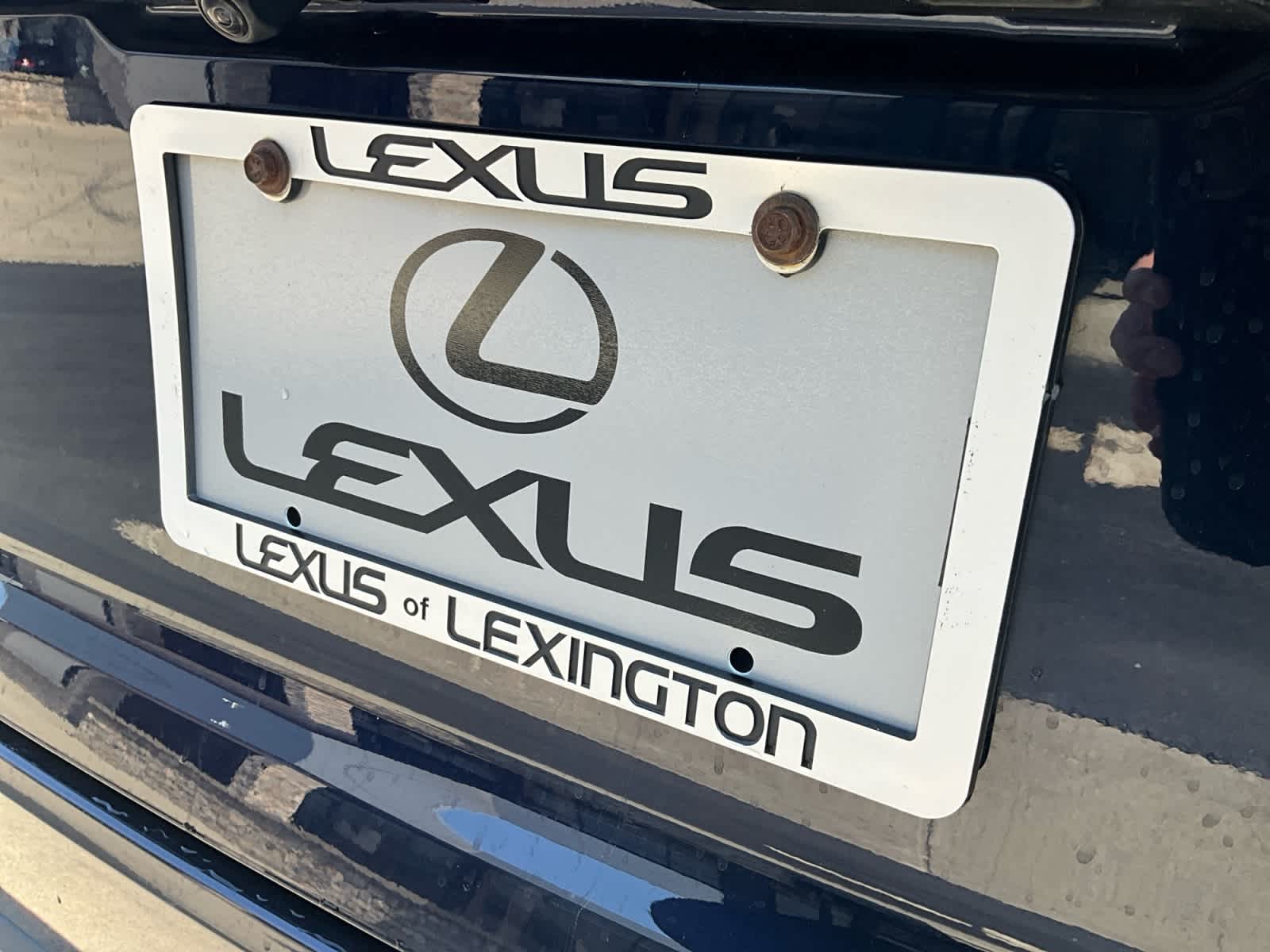 2024 Lexus RX Luxury