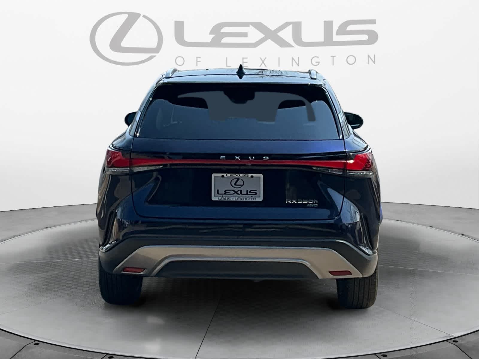 2024 Lexus RX Luxury