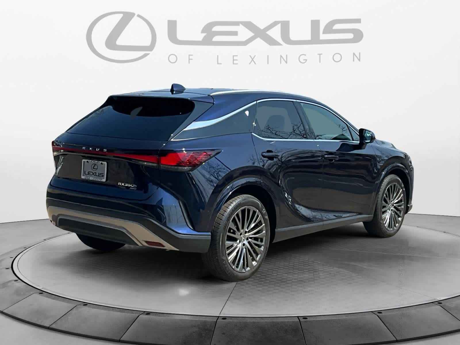2024 Lexus RX Luxury