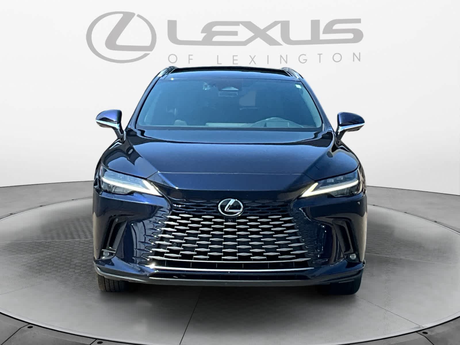 2024 Lexus RX Luxury