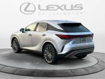 2026 Lexus RX 350h Luxury