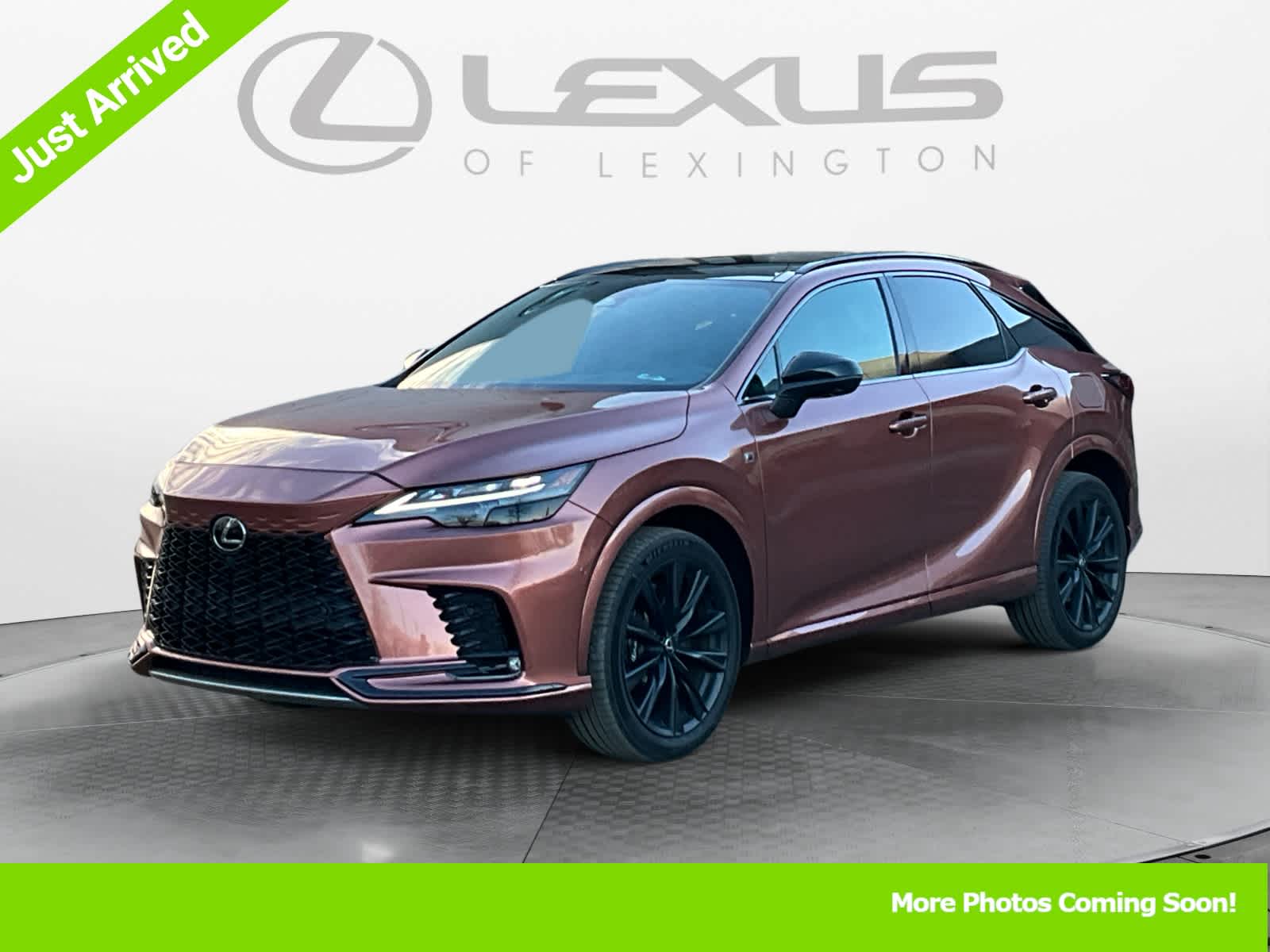 2024 Lexus RX F SPORT Performance