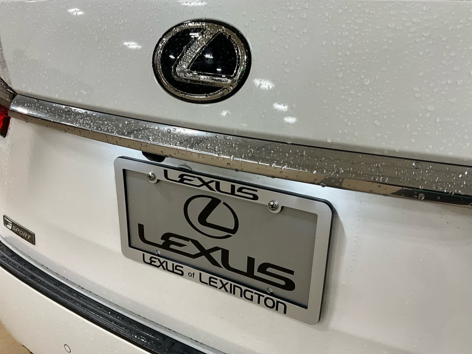 2019 Lexus RX 350 F SPORT