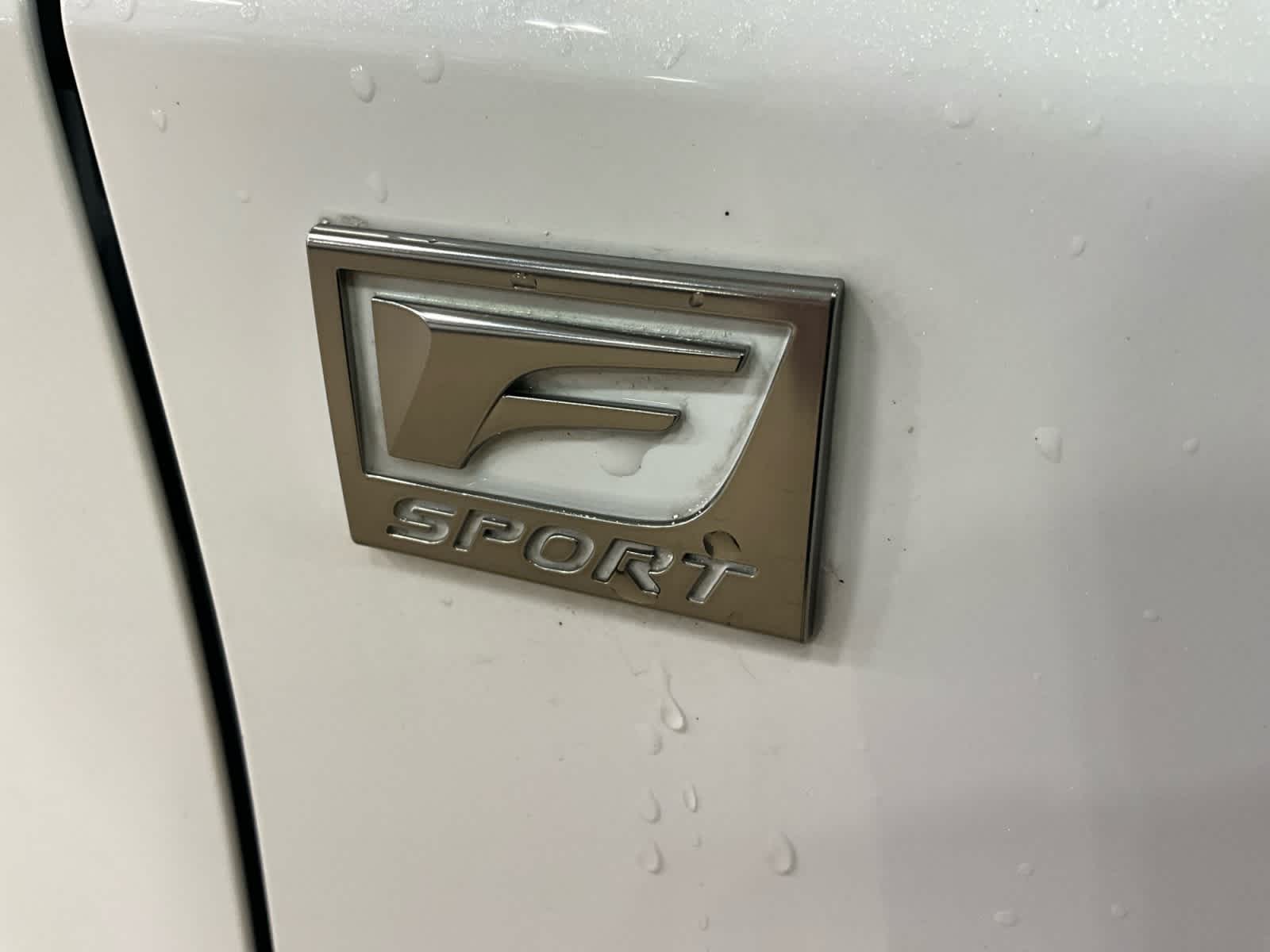 2019 Lexus RX 350 F SPORT