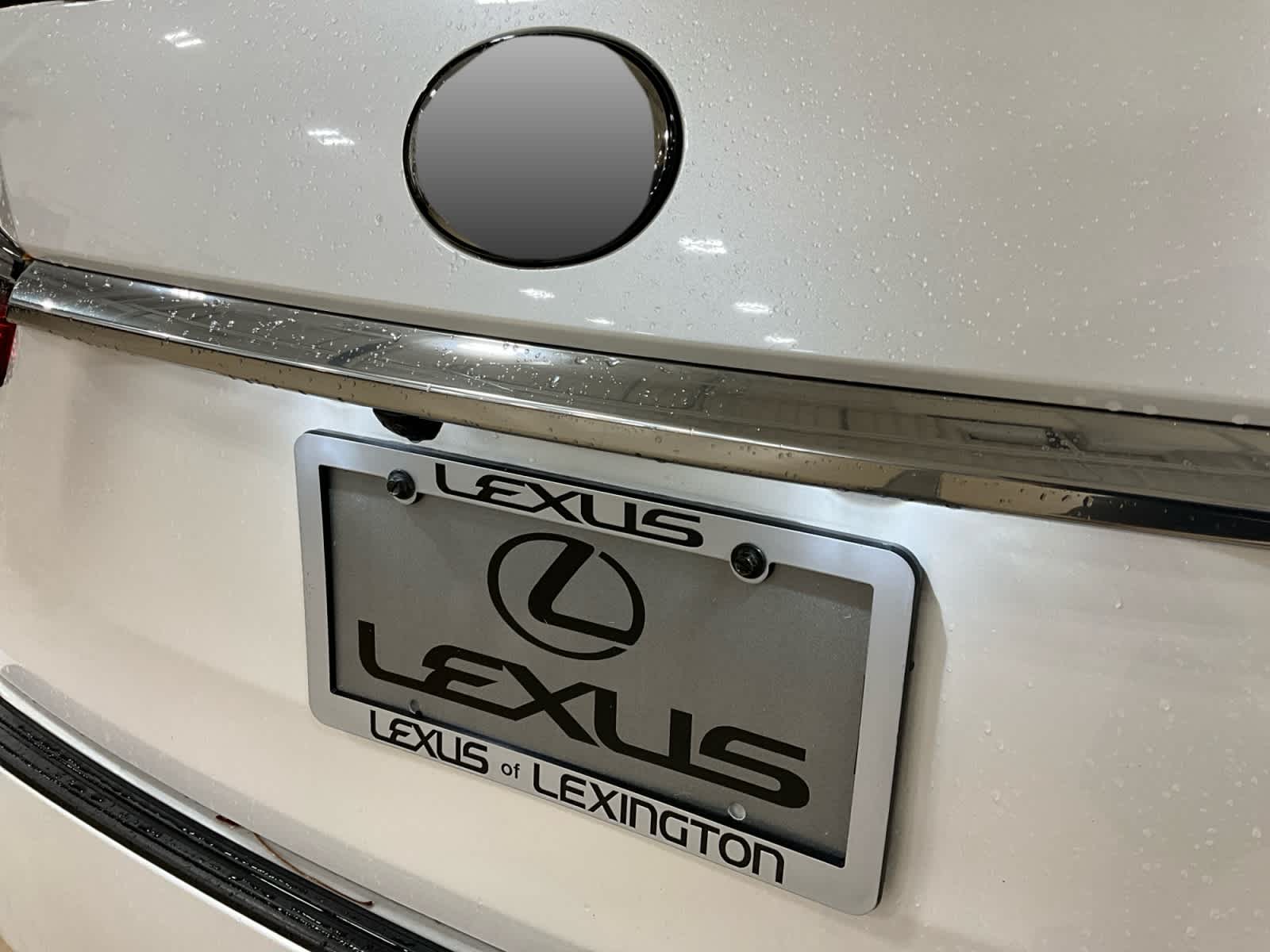 2019 Lexus RX 350 RX 350