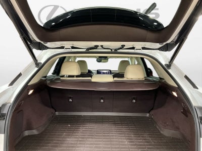 2019 Lexus RX 350 RX 350