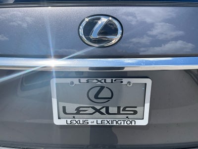 2019 Lexus RX 350 RX 350