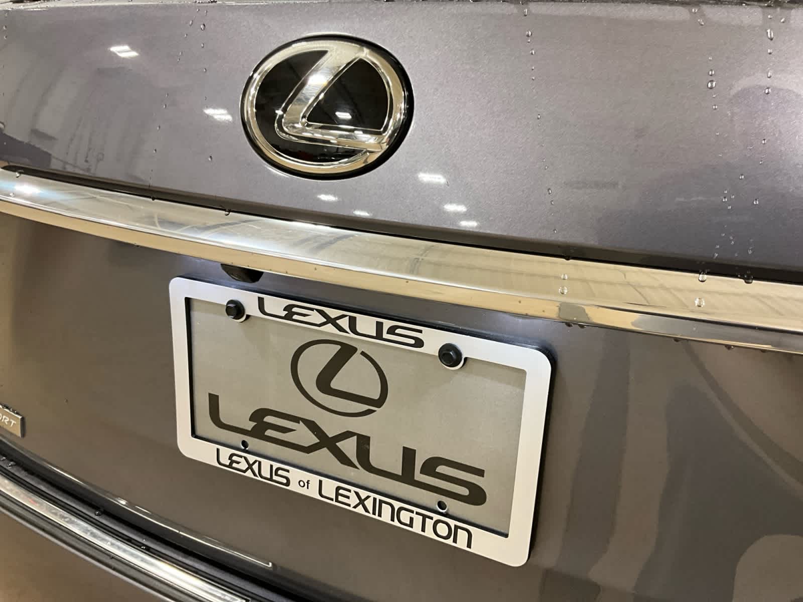 2017 Lexus RX 350 F Sport RX 350 F Sport