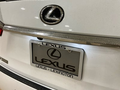 2019 Lexus RX 350 F SPORT
