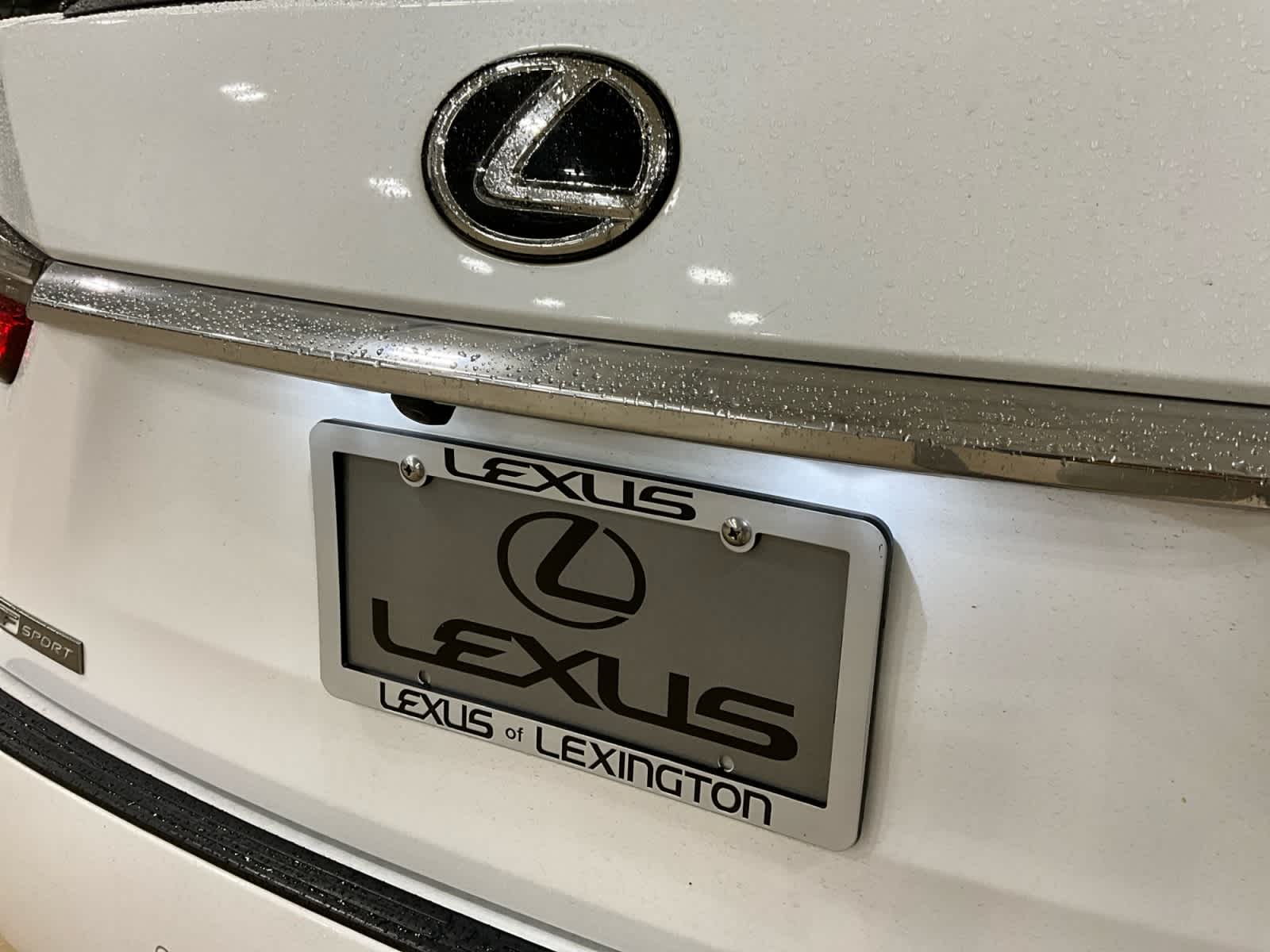 2019 Lexus RX 350 F SPORT