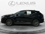 2022 Lexus NX Premium