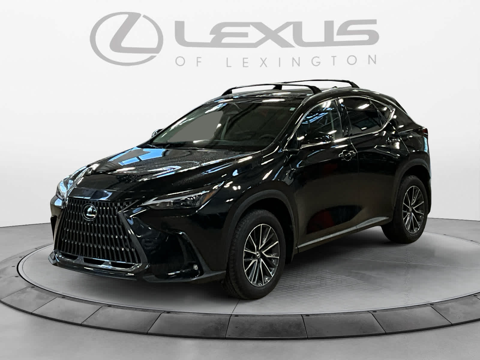 2025 Lexus NX 250 Premium