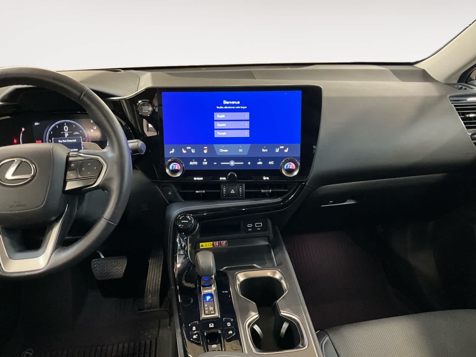 2025 Lexus NX 250 Premium