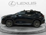 2025 Lexus NX 250 Premium