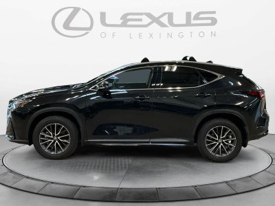 2025 Lexus NX 250 Premium