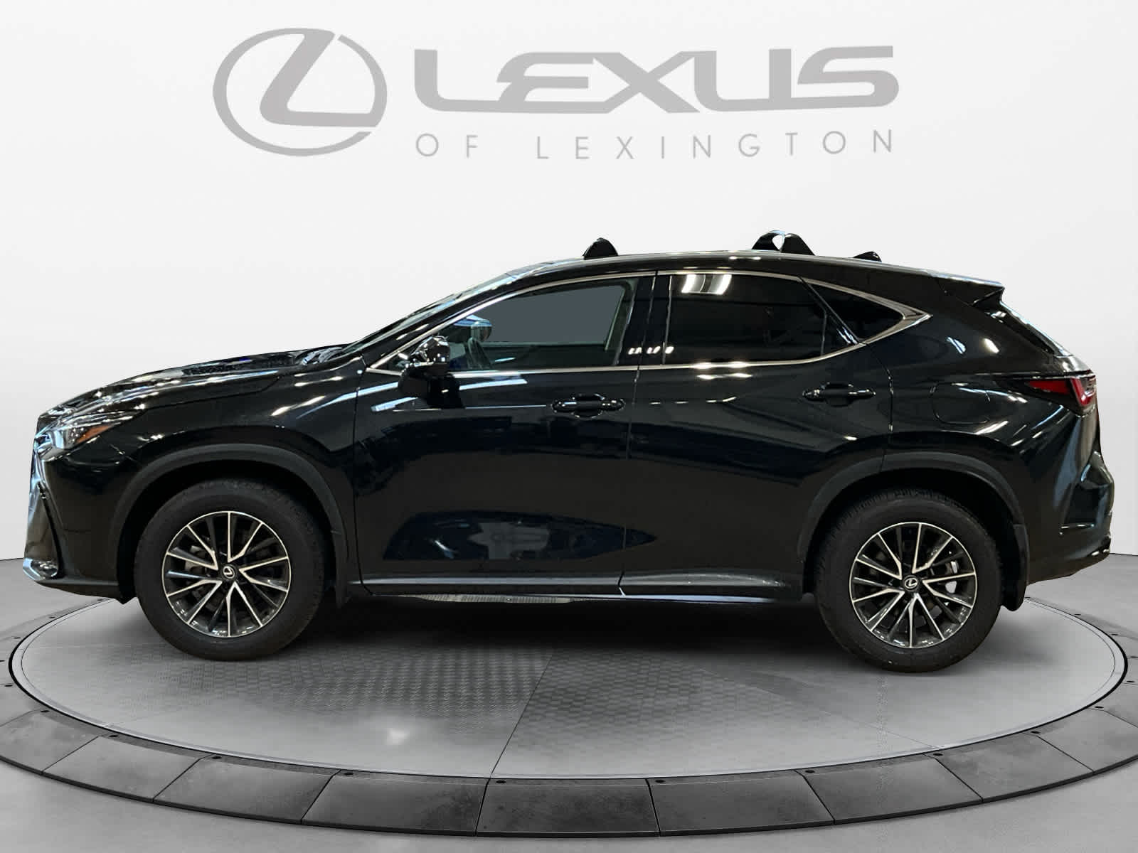 2025 Lexus NX 250 Premium