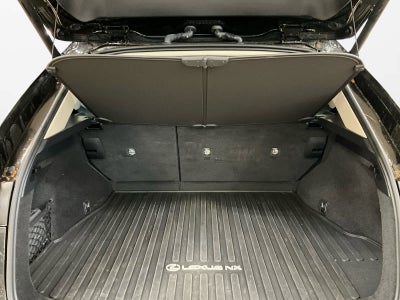 2025 Lexus NX 250 Premium