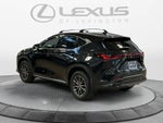 2025 Lexus NX 250 Premium