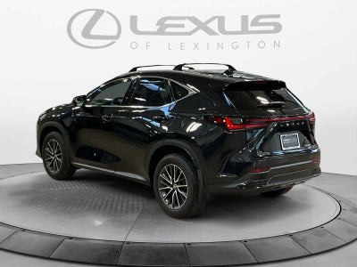 2025 Lexus NX 250 Premium